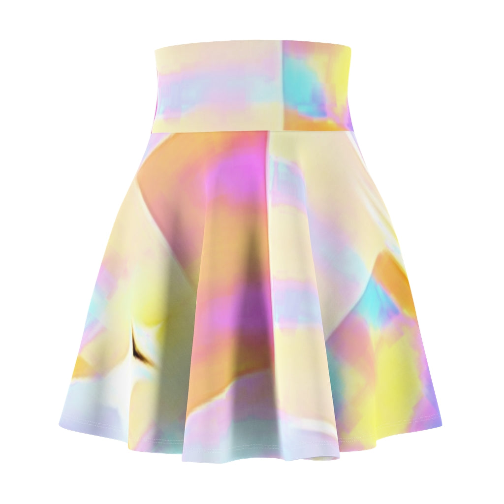 Sydney Street Skater Skirt