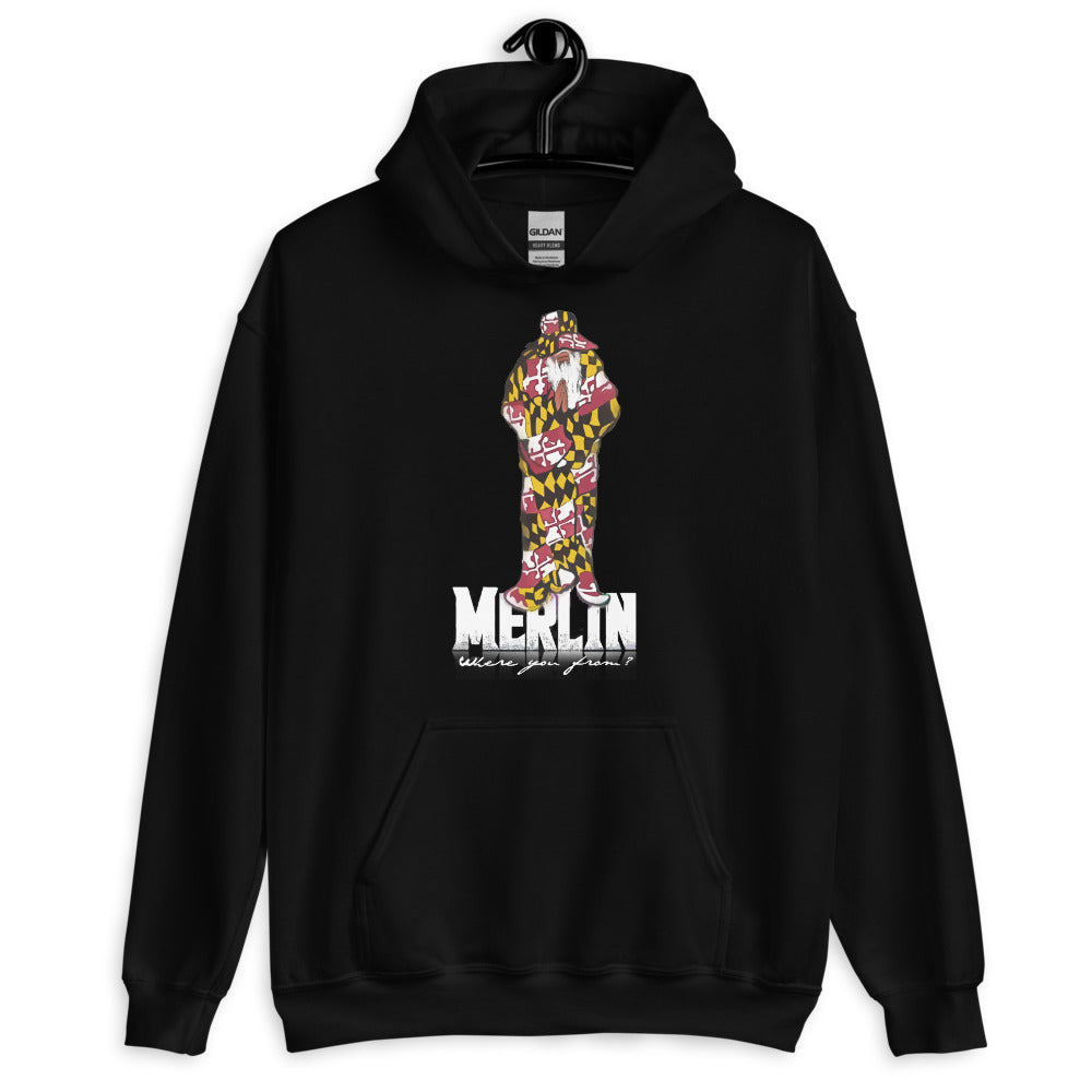 Merlin Unisex Gildan Hoodie