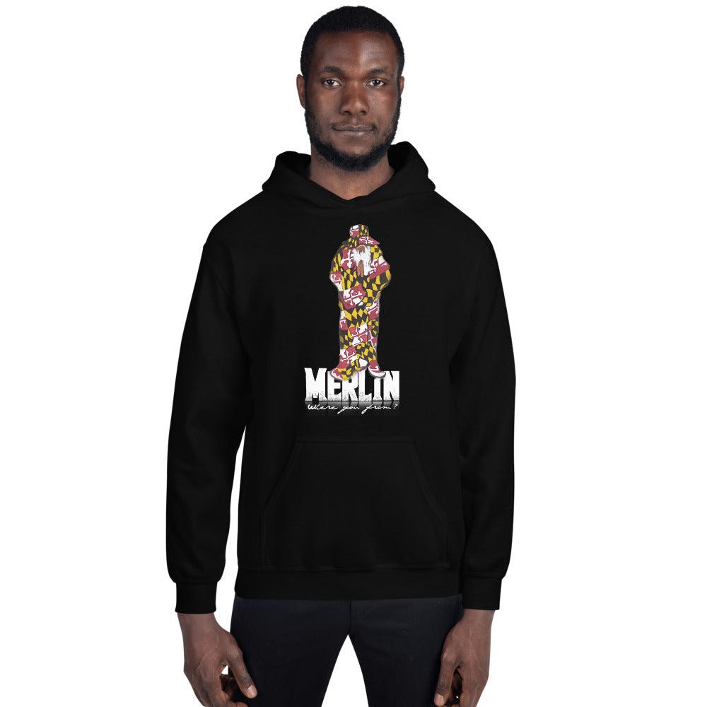 Merlin Unisex Gildan Hoodie