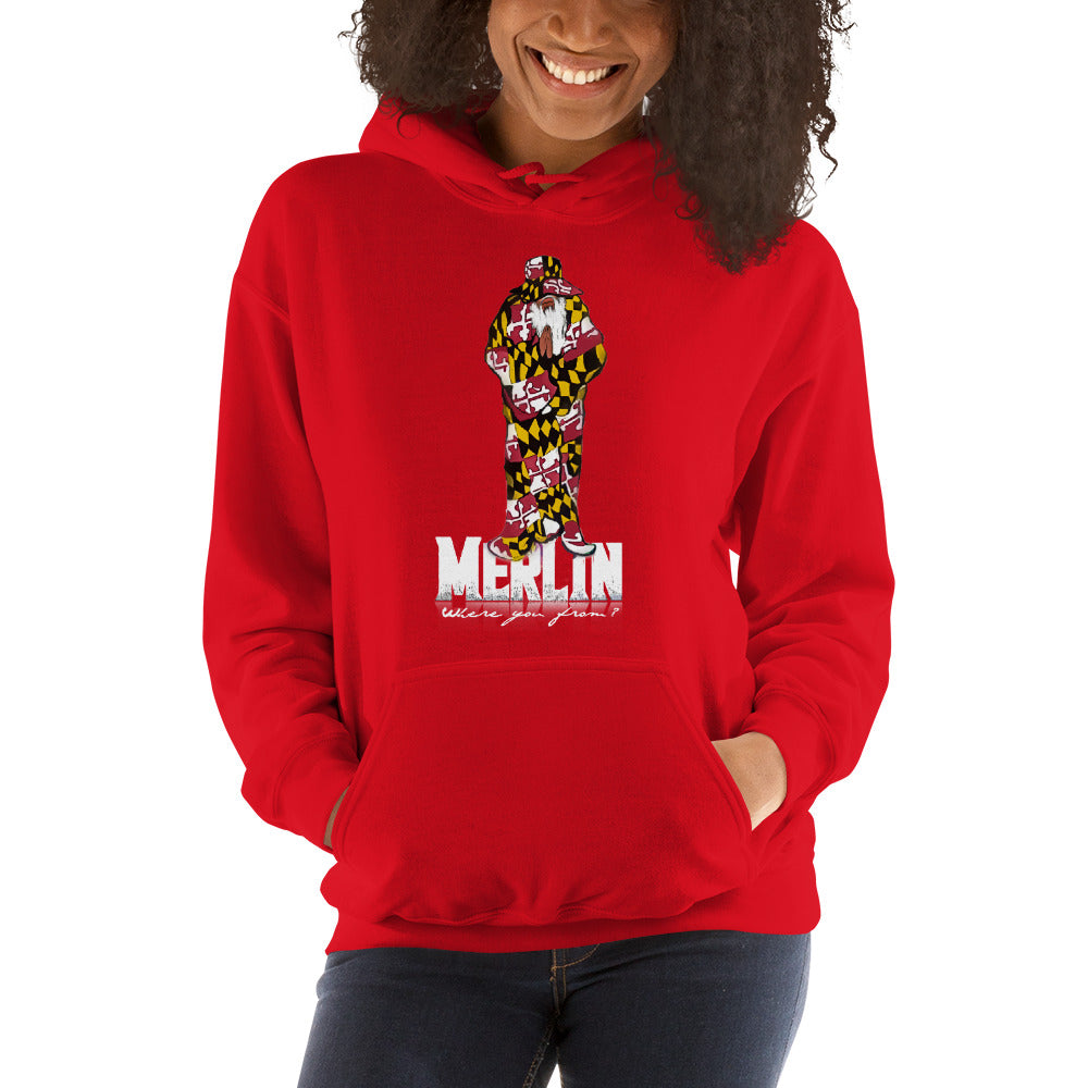 Merlin Unisex Gildan Hoodie